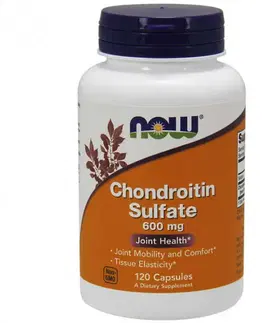 Ostatné kĺbové výživy NOW Foods Chondroitin Sulfate 600 mg