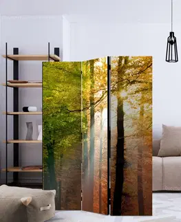 Paravány Paraván Forest Colours Dekorhome 135x172 cm (3-dielny)