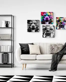 Zostavy obrazov Set obrazov psy v pop art prevedení