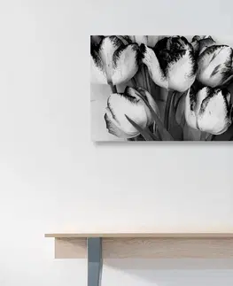 Čiernobiele obrazy Obraz tulipány v jarnom nádychu v čiernobielom prevedení