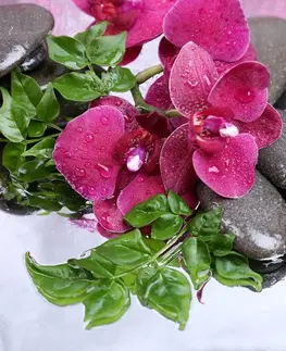 Samolepiace tapety Samolepiaca fototapeta kvitnúca orchidea a wellness kamene