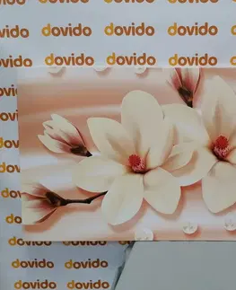 Obrazy kvetov Obraz luxusná magnólia s perlami