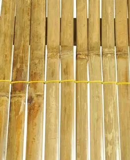 Postele Posteľ bambus / ratan Dekorhome 140 x 200 cm