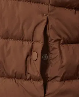 Coats & Jackets Prešívaná bunda s kapucňou, koňaková