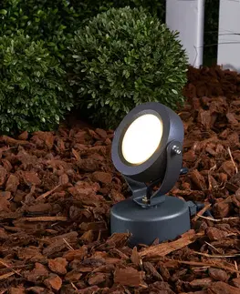 LED reflektory a svietidlá s bodcom do zeme Lucande Vonkajšie LED svietidlo Gavin grafitovo sivé 1x7 W