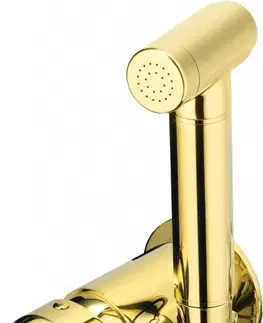 Kúpeľňové batérie DEANTE - Arnika zlato - Bidetová batéria podomietková s bidetovou ručnou sprchou BQA_Z34M