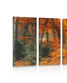 Obrazy prírody a krajiny 5-dielny obraz les v jesennom období