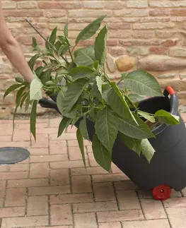 Záhradný nábytok ArtRoja Záhradný plastový vozík PROGRESS | čierny