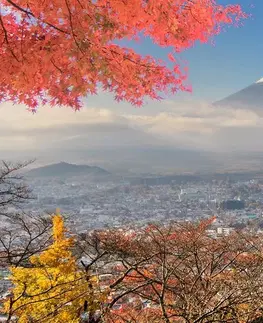 Obrazy mestá Obraz jeseň v Japonsku