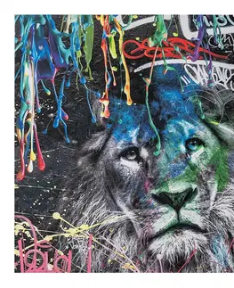 Dekorácie a bytové doplnky Obraz na plátne 80x80 Abstraktný lev – graffiti