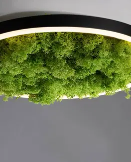 Stropné svietidlá JUST LIGHT. LED stropné svietidlo Green Ritus, mach stmievateľné Ø39,3cm