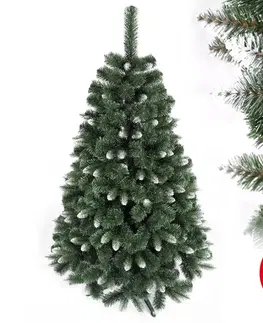 Vianočné dekorácie  Vianočný stromček NORY 180 cm borovica 