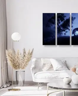 Obrazy zvierat 5-dielny obraz vlk v splne mesiaca