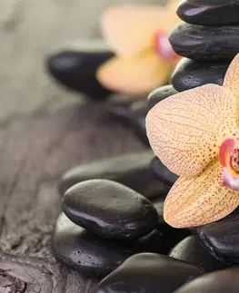 Obrazy Feng Shui Obraz žltá orchidea a Zen kamene
