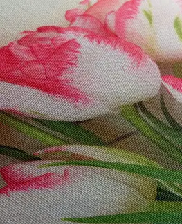 Obrazy kvetov Obraz tulipány v jarnom nádychu
