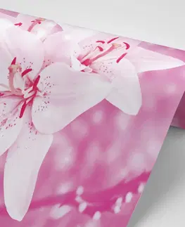 Samolepiace tapety Samolepiaca fototapeta ľalia v ružovom šate
