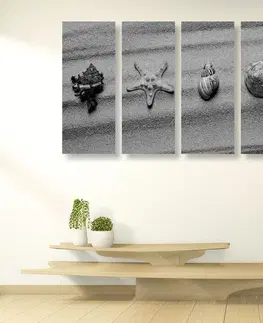 Čiernobiele obrazy 5-dielny obraz mušle na piesočnatej pláži v čiernobielom prevedení