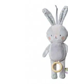 Hudobné hračky TAF TOYS - Hudobný králiček Rylee