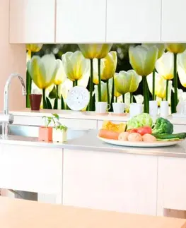 Tapety Samolepiaca fototapeta do kuchyne biele tulipány