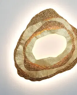 Nástenné svietidlá Holländer Nástenné svetlo Coral LED, organický tvar