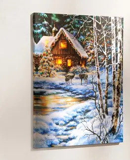 Drobné dekorácie a doplnky LED obrázok "Zimný les"