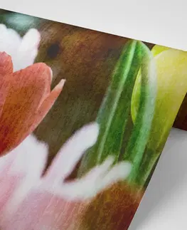 Tapety kvety Tapeta lúka tulipánov v retro štýle