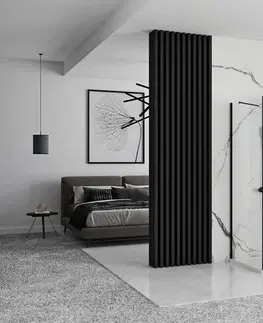 Sprchové dvere REA/S - Prístenná sprchová kabína Rapid Swing Black Dvere: 70 x Sprchová zástena: 80 KPL-009946