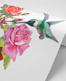 Samolepiace tapety Samolepiaca tapeta kolibríky s kvetmi