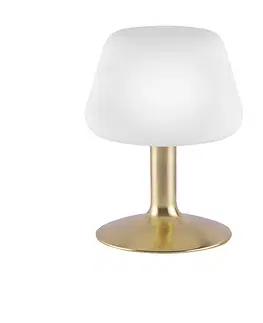Stolove lampy Stolná lampa z mosadze s 3-stupňovým dotykovým stmievačom vrátane LED - Tilly