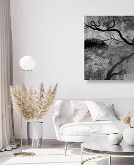 Čiernobiele obrazy Obraz surrealistické stromy v čiernobielom prevedení