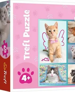 Hračky puzzle TREFL - Puzzle 60 - Roztomilé mačky / Trefl