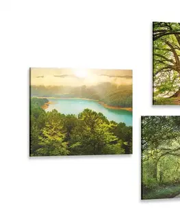 Zostavy obrazov Set obrazov nádherná zelená príroda