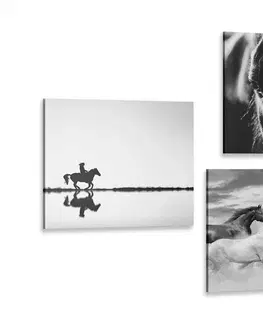 Zostavy obrazov Set obrazov pre milovníkov koní v čiernobielom prevedení