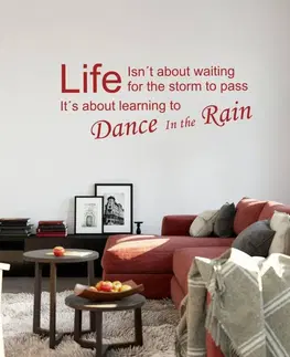Nálepky na stenu Samolepka - Dance in the rain