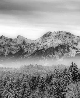 Čiernobiele obrazy Obraz zamrznuté hory v čiernobielom prevedení