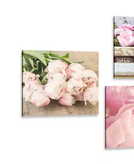 Zostavy obrazov Set obrazov kvety vo vintage štýle