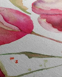 Obrazy kvetov Obraz nádherné tulipány v zaujímavom prevedení