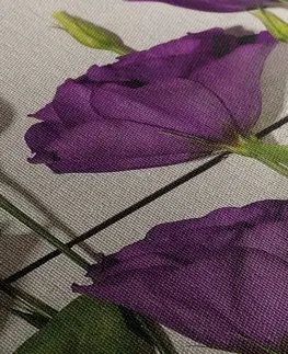 Obrazy kvetov Obraz nádherné fialové kvety