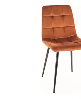 Jedálenské stoličky BIOLA jedálenská stolička, škoricová