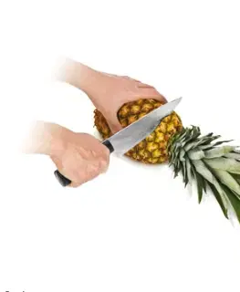 Náradie a pomôcky na pečenie Tescoma krájač na ananás HANDY, farebný mix