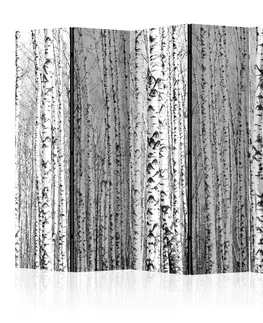 Paravány Paraván Birch forest Dekorhome 225x172 cm (5-dielny)