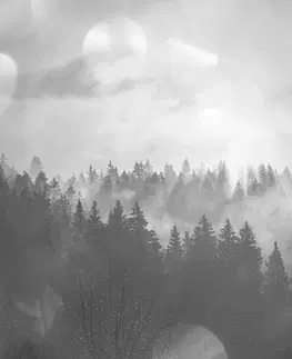 Samolepiace tapety Samolepiaca fototapeta čiernobiela hmla nad lesom