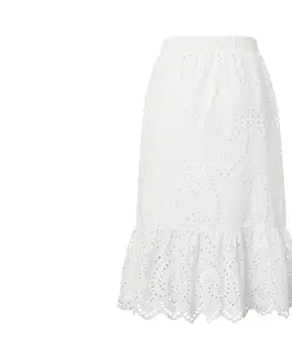 Skirts Dámska sukňa s celoplošnou výšivkou