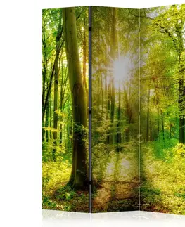 Paravány Paraván Forest Rays Dekorhome 135x172 cm (3-dielny)