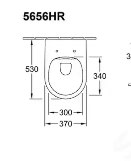 Záchody VILLEROY & BOCH - Avento Závesné WC s WC doskou SoftClosing, DirectFlush, alpská biela 5656HR01