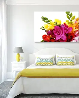 Obrazy kvetov Obraz kytica farebných frézií
