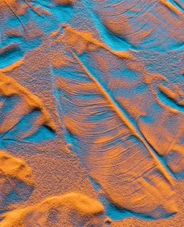 Obrazy prírody a krajiny Obraz textúra listov na piesočnatej pláži