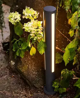 Osvetlenie príjazdovej cesty Heitronic Chodníkové LED svietidlo Lilia, výška 75 cm
