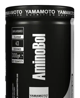 BCAA AminoBol (predtréningová BCAA formula) - Yamamoto  300 g