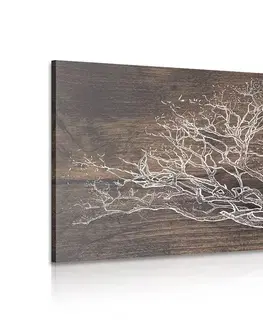 Obrazy stromy a listy Obraz strom na drevenom podklade